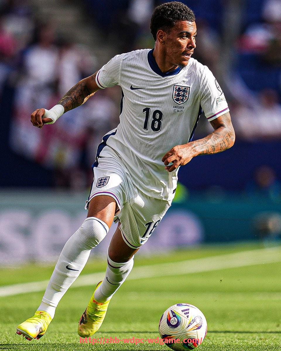 问鼎娱乐官方网站-2025年世俱杯赞助商合同管理实务及风险应对方案解析 问鼎娱乐官方网站-2025年世俱杯赞助商合同管理实务及风险应对方案解析